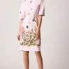 Crepe Butterfly Border Print Sheath Dress