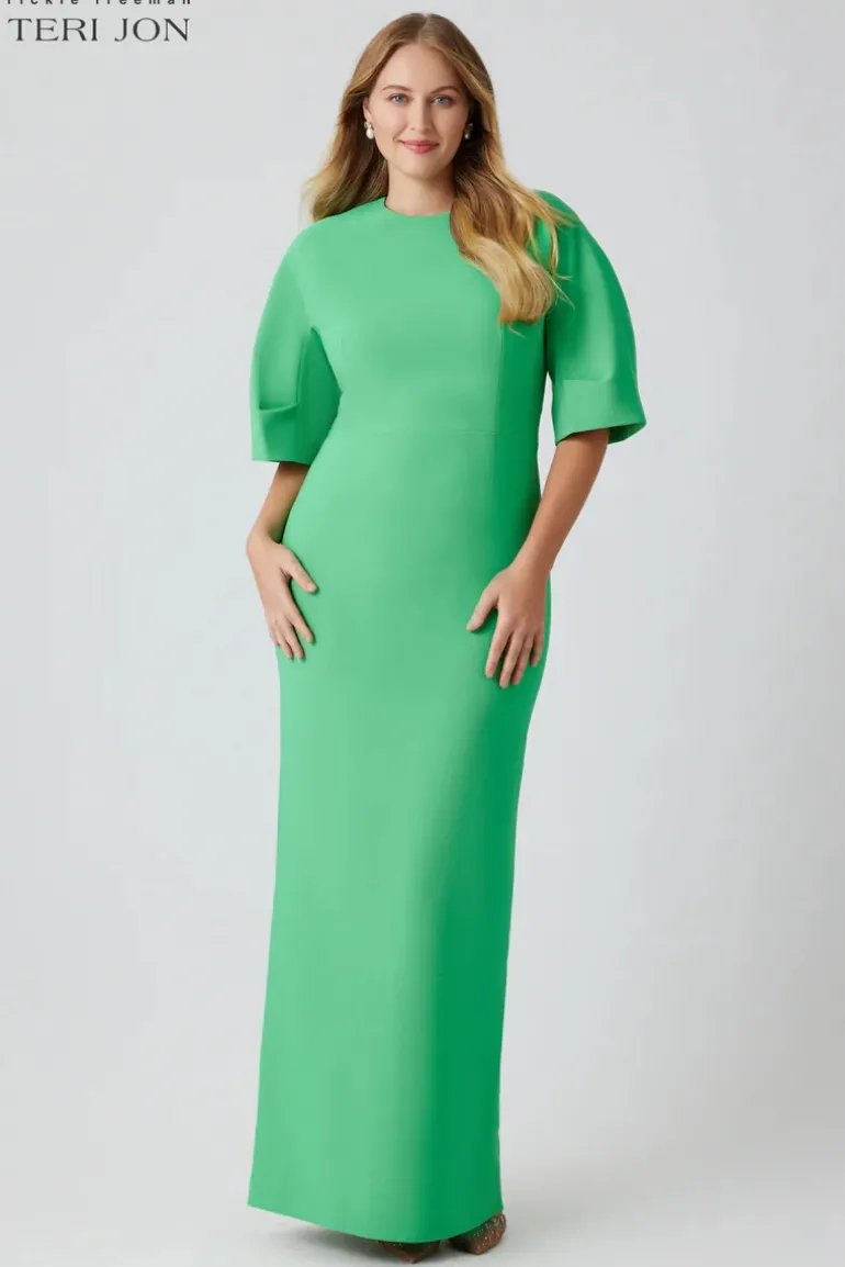 Crepe Fitted Sleeve Gown