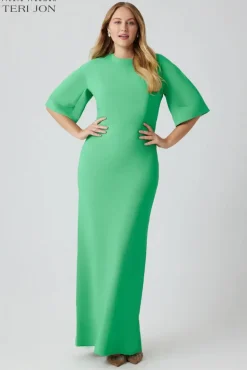 Crepe Fitted Sleeve Gown