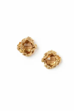 Encrusted Stud Earrings